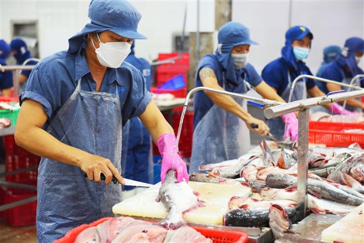 Thủy sản Việt “vượt sóng” chuyển thị trường chiến lược